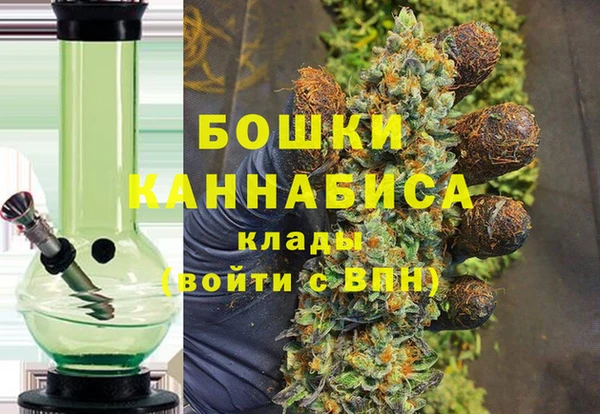 крисы Верхний Тагил