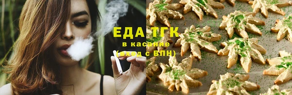 крисы Верхний Тагил