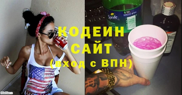 крисы Верхний Тагил