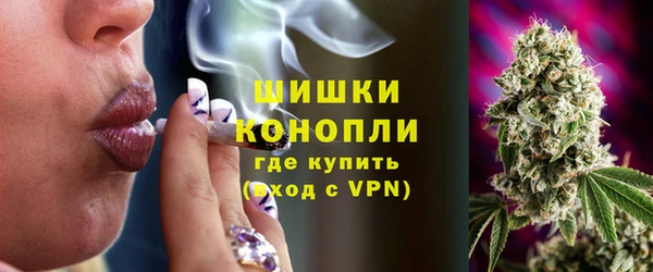 крисы Верхний Тагил